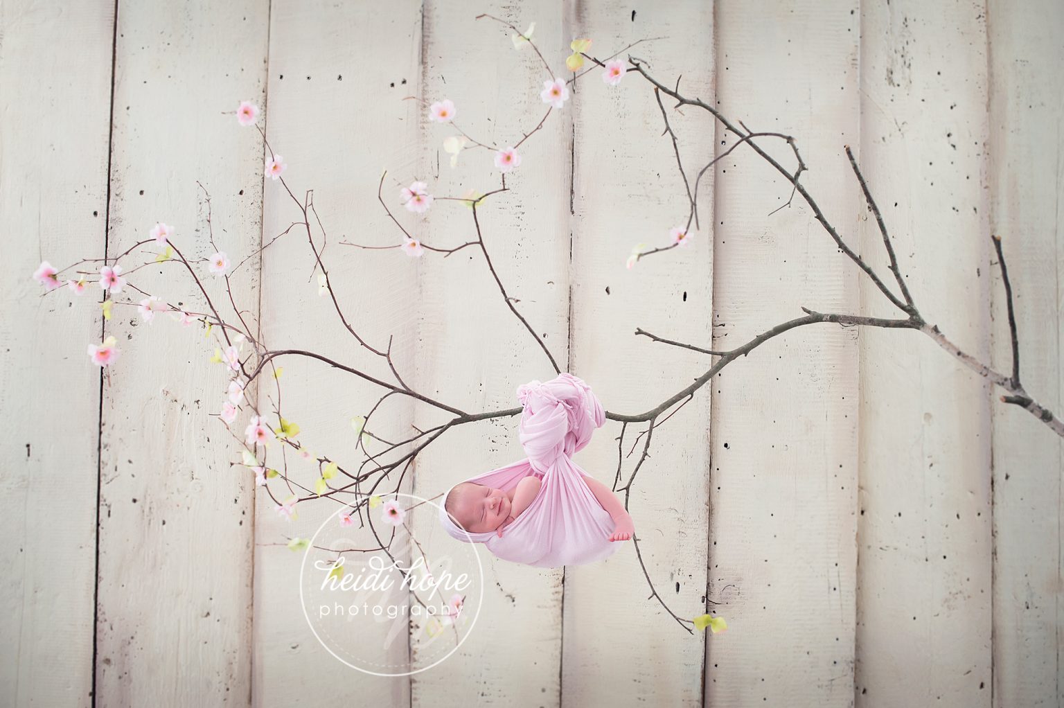 newborn spring floral branch for portrait special