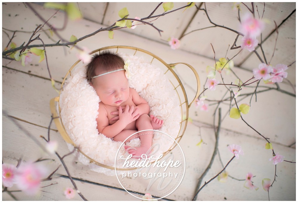 newborn baby and family photography workshop for photographers 10