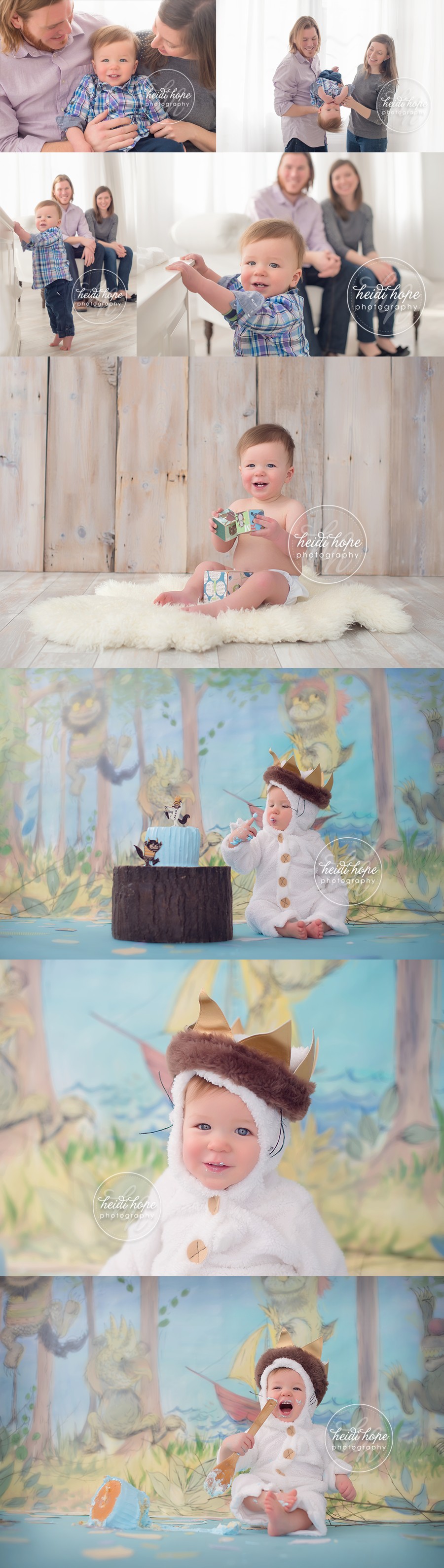 where the wild things are first birthday cakesmash