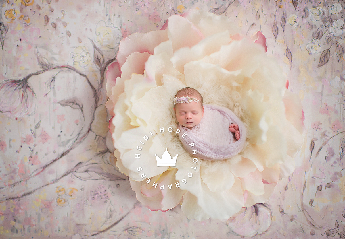 newborn girl posed in flower with heidi hope handpainted backdrop 